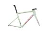 Specialized TARMAC SL8 FRMSET 58 IONMET/SEA/RBLPNK